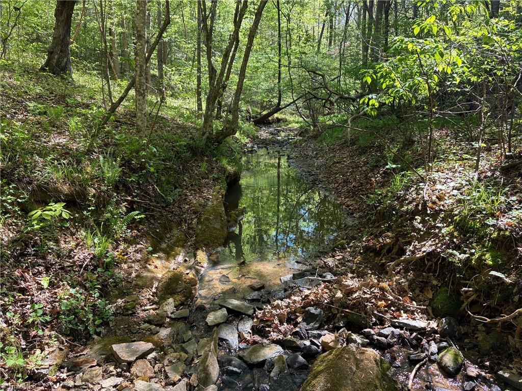 0 Tom Mix Road Westfield, NC 27053 - Photo 20 of 33
