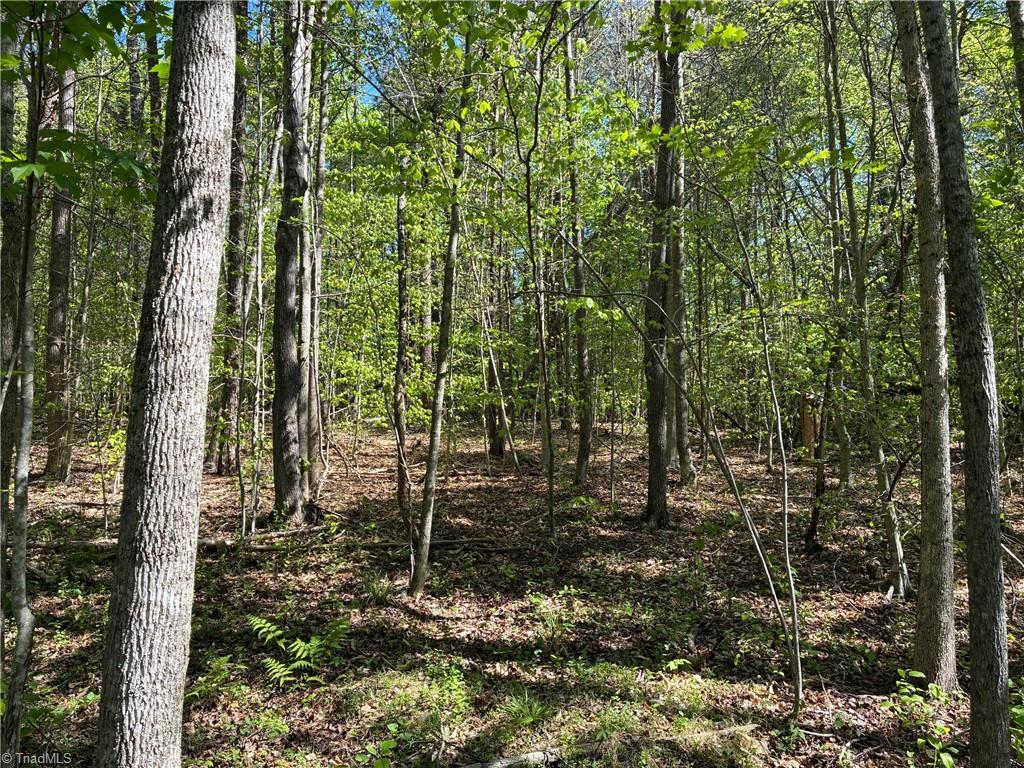 0 Tom Mix Road Westfield, NC 27053 - Photo 21 of 33
