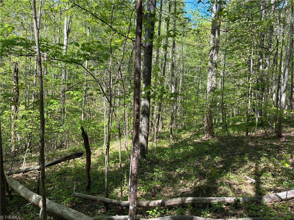 0 Tom Mix Road Westfield, NC 27053 - Photo 23 of 33