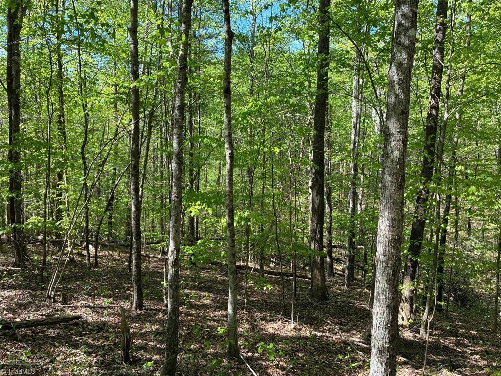 0 Tom Mix Road Westfield, NC 27053 - Photo 25 of 33