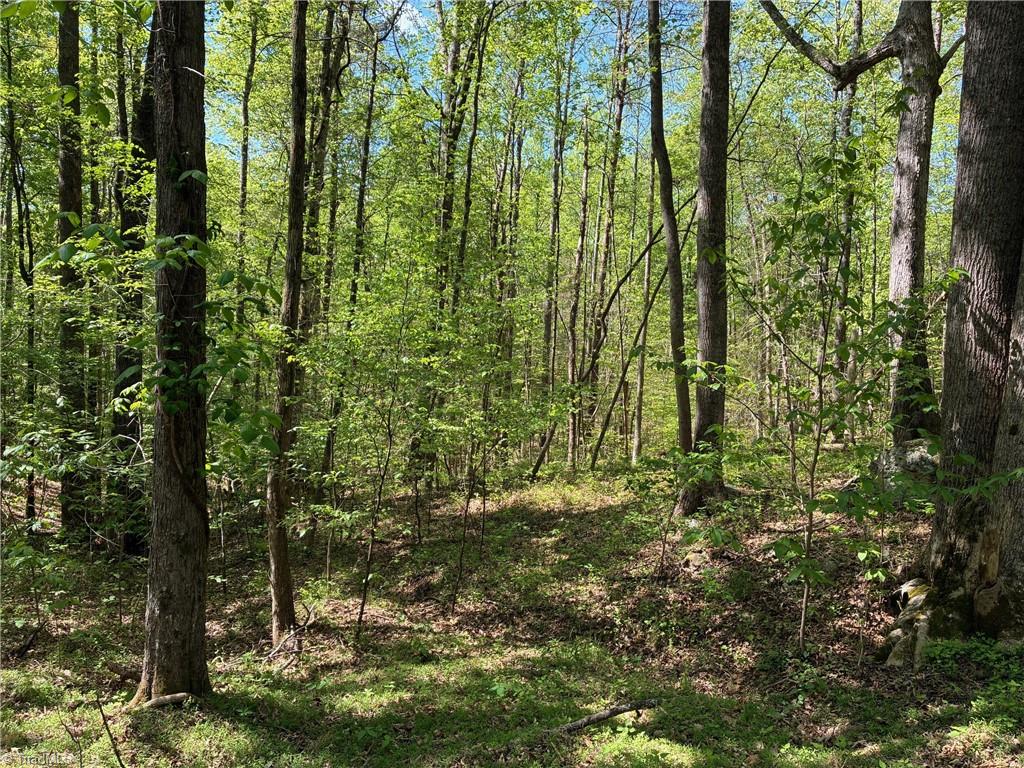 0 Tom Mix Road Westfield, NC 27053 - Photo 26 of 33