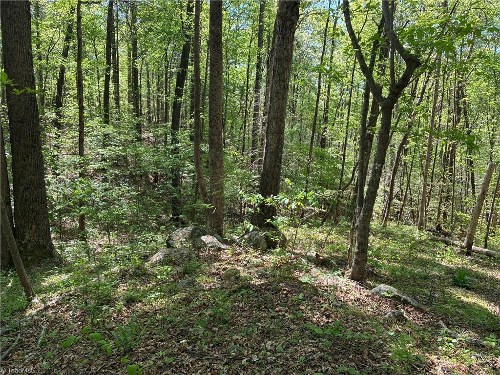 0 Tom Mix Road Westfield, NC 27053 - Photo 27 of 33