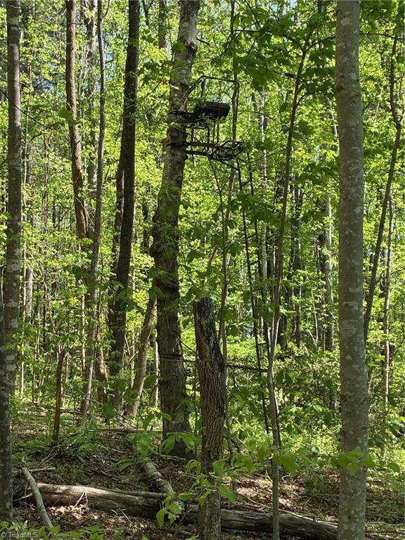 0 Tom Mix Road Westfield, NC 27053 - Photo 29 of 33