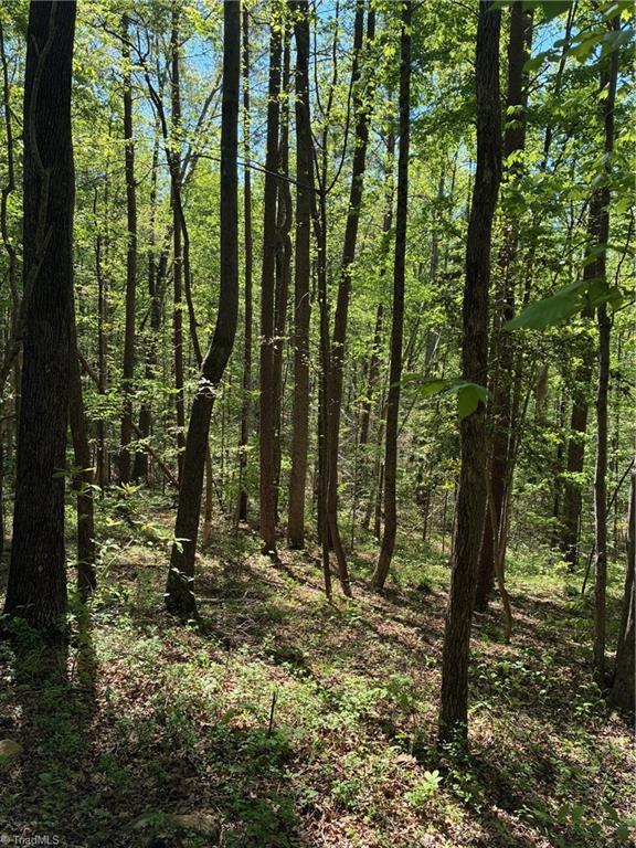 0 Tom Mix Road Westfield, NC 27053 - Photo 30 of 33