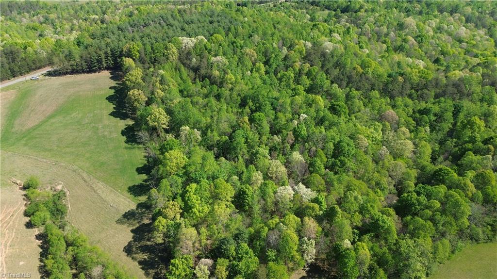 0 Tom Mix Road Westfield, NC 27053 - Photo 3 of 33