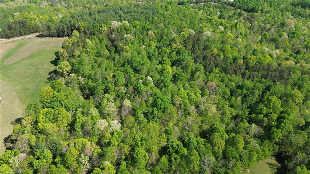 0 Tom Mix Road Westfield, NC 27053 - Photo 4 of 33