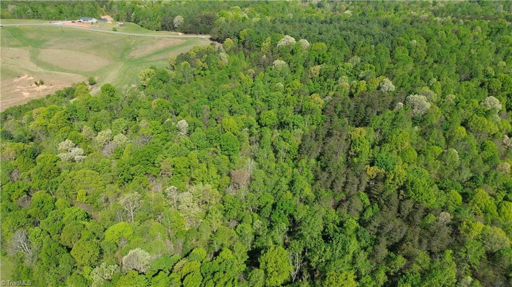 0 Tom Mix Road Westfield, NC 27053 - Photo 5 of 33
