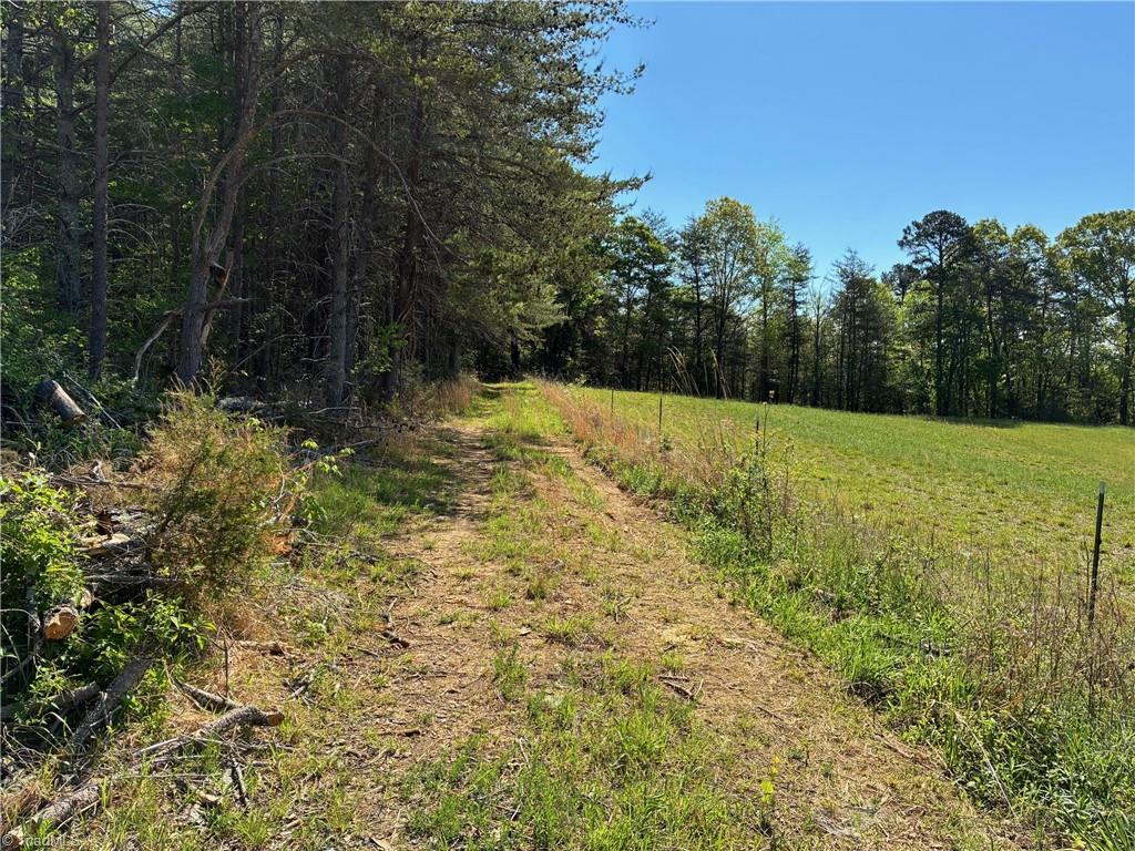 0 Tom Mix Road Westfield, NC 27053 - Photo 7 of 33