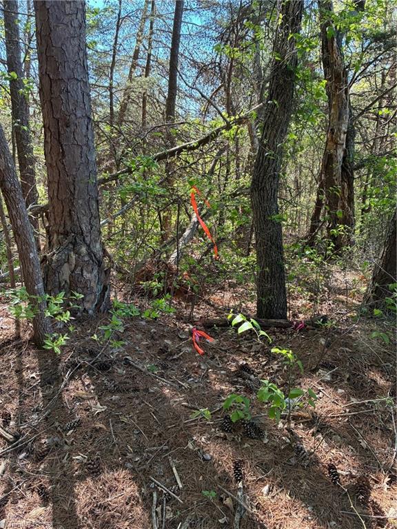 0 Tom Mix Road Westfield, NC 27053 - Photo 8 of 33
