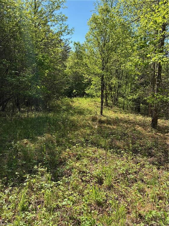 0 Tom Mix Road Westfield, NC 27053 - Photo 9 of 33