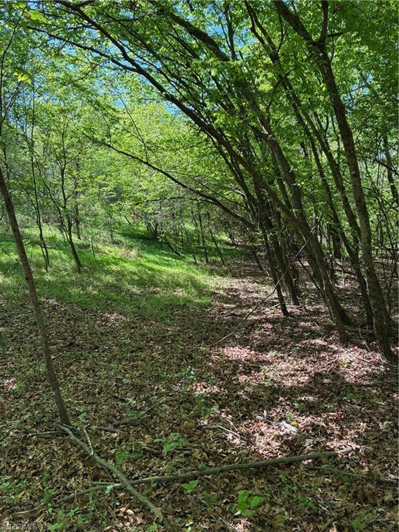 0 Tom Mix Road Westfield, NC 27053 - Photo 10 of 33