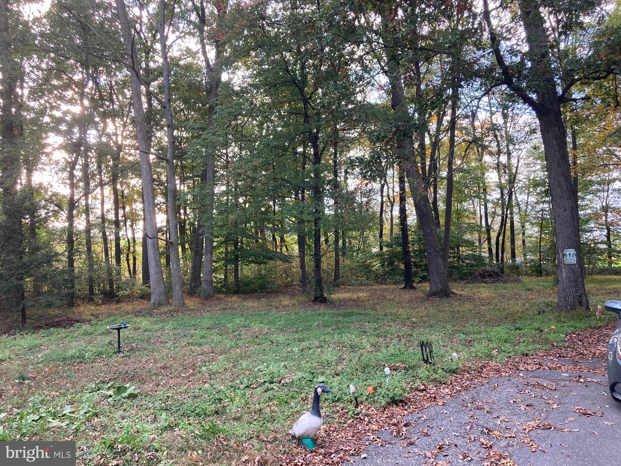 498 Rife Run Road Manheim, PA 17545 - Photo 2 of 4