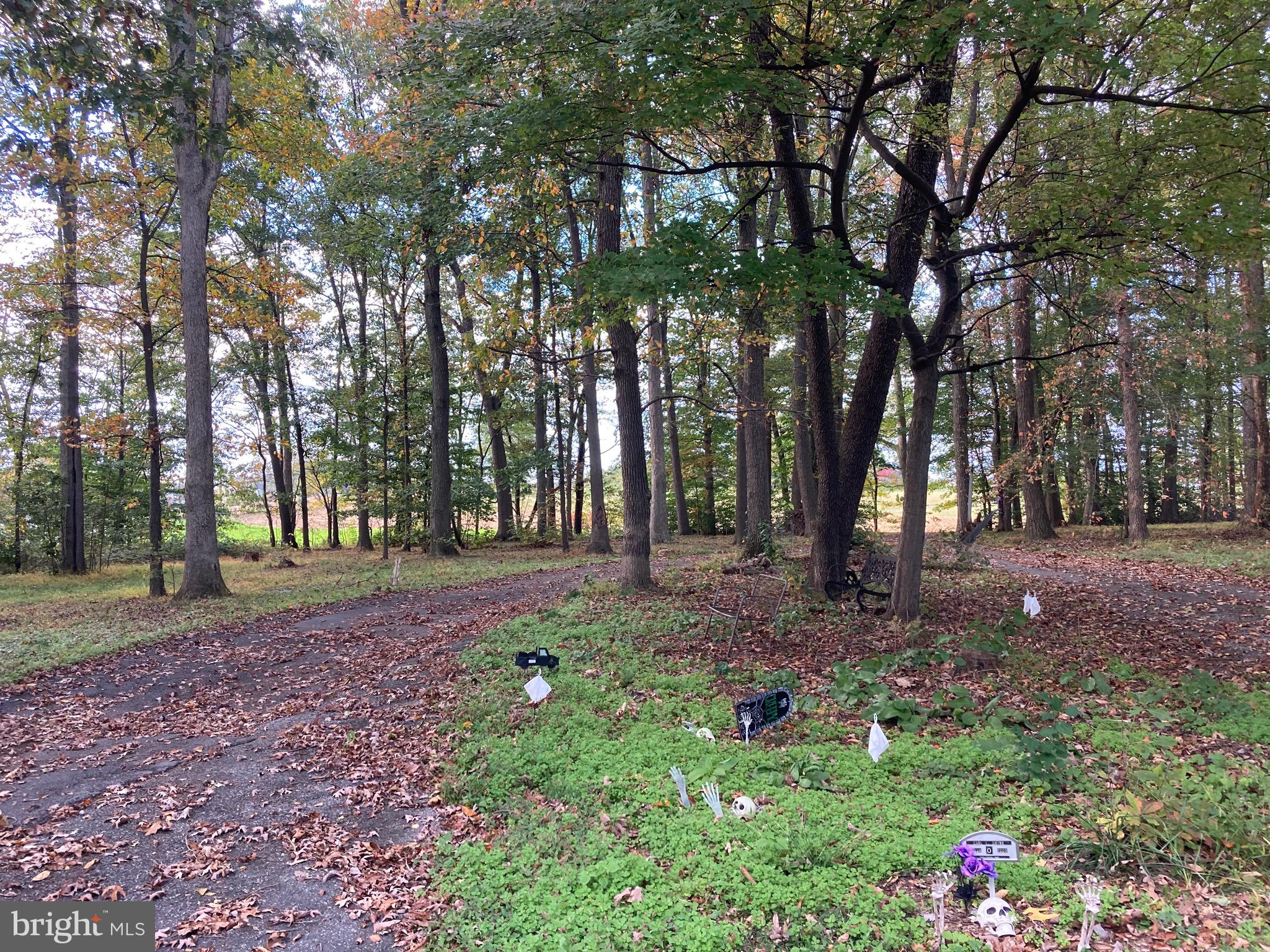 498 Rife Run Road Manheim, PA 17545 - Photo 3 of 4