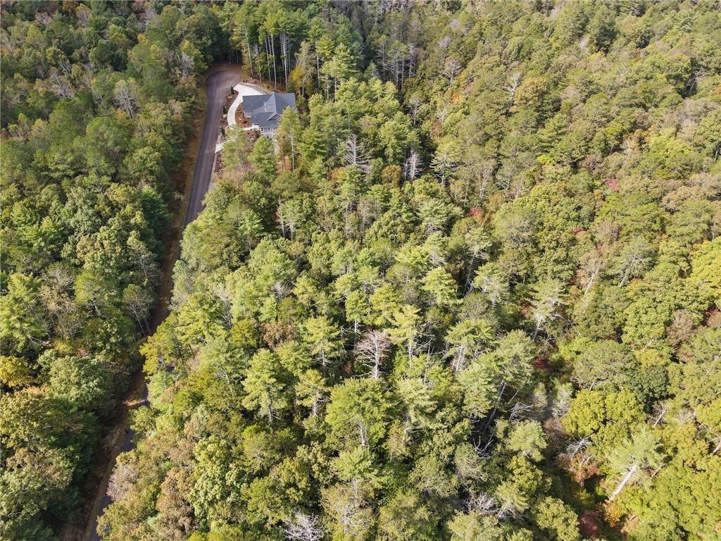 0 Trout Line Court Talking Rock, GA 30175 - Photo 17 of 50 a map view of a house