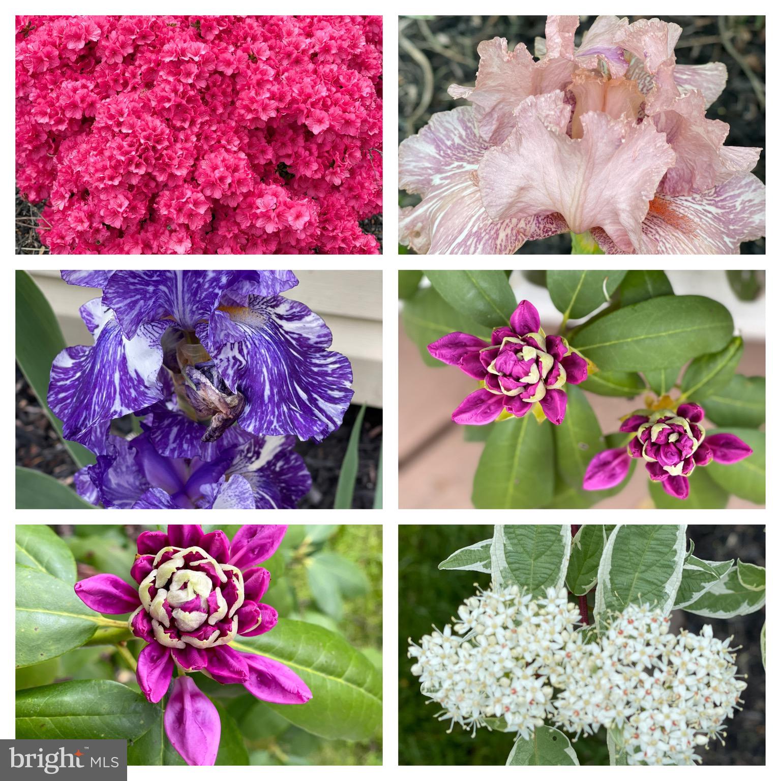 112 South Mennonite Road Collegeville, PA 19426 - Photo 128 of 131