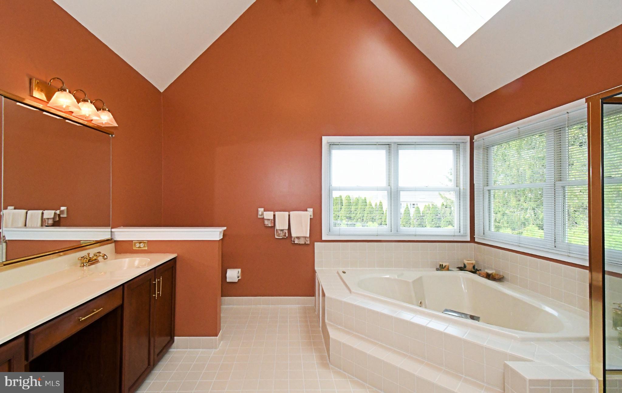 112 South Mennonite Road Collegeville, PA 19426 - Photo 66 of 131 Elegant bath with natural light.