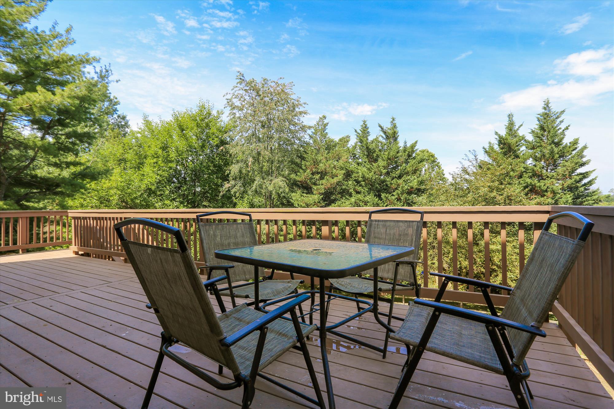 6614 Edgewood Road New Market, MD 21774 - Photo 16 of 34 What an inviting spot for al fresco dining!