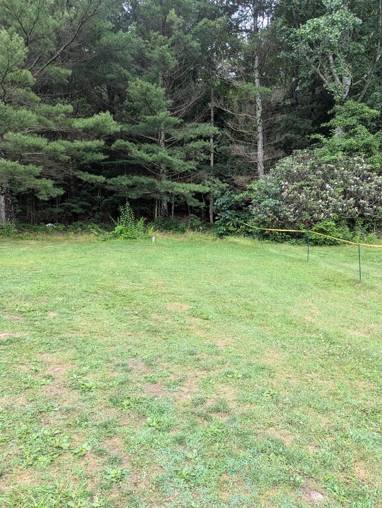 2497 Dry Road Speedwell, VA 24374 - Photo 23 of 70 Gallery Image 23