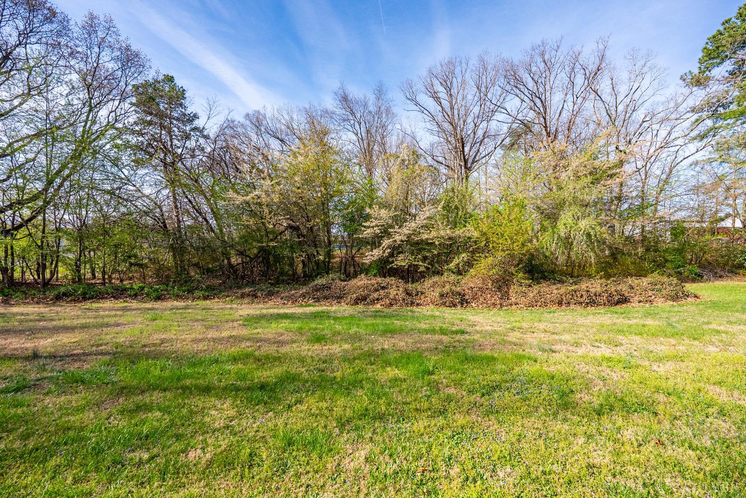 803 Henry Street Gretna, VA 24557 - Photo 15 of 15 a view of a yard with an trees