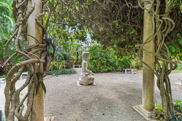 a view of a tree with a tree