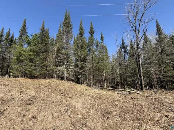 $60,000 | 79-xx East County Rd A, Solon Springs, WI 54873