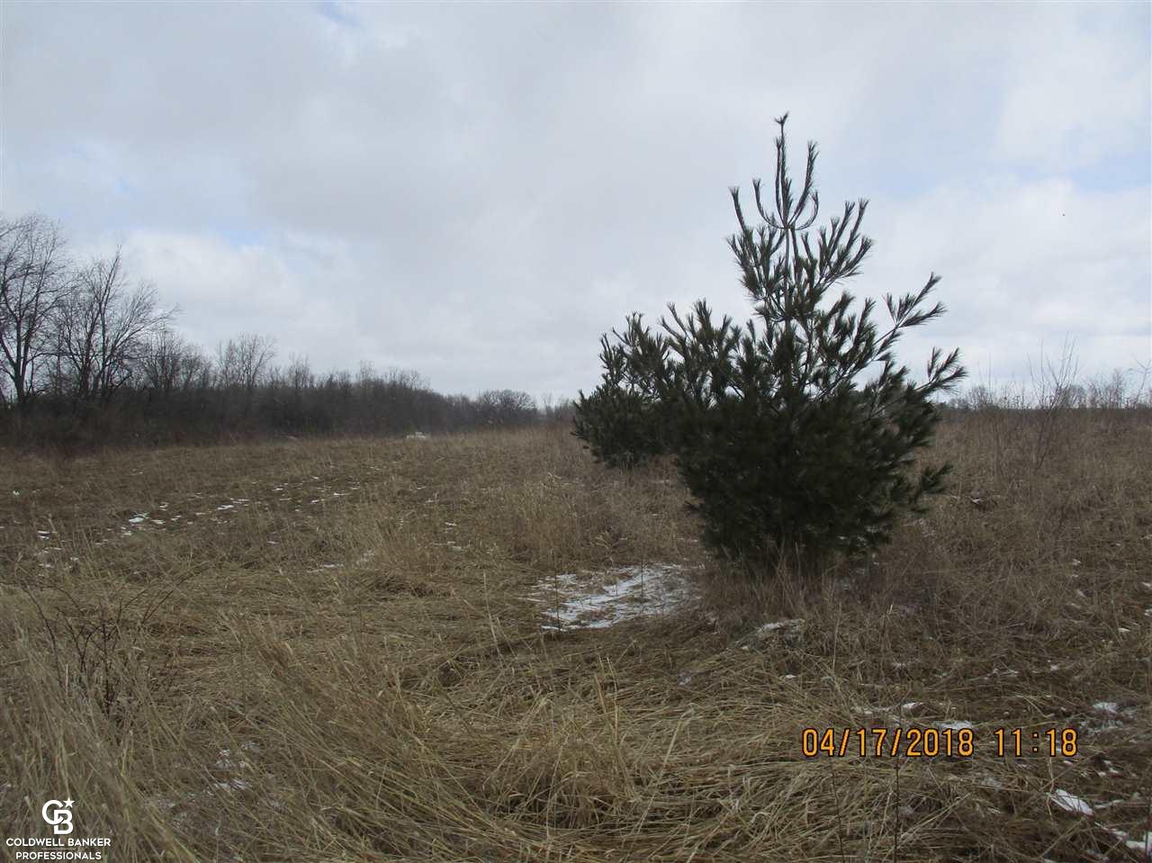 0 Arendt Road Yale, MI 48097 - Photo 6 of 11