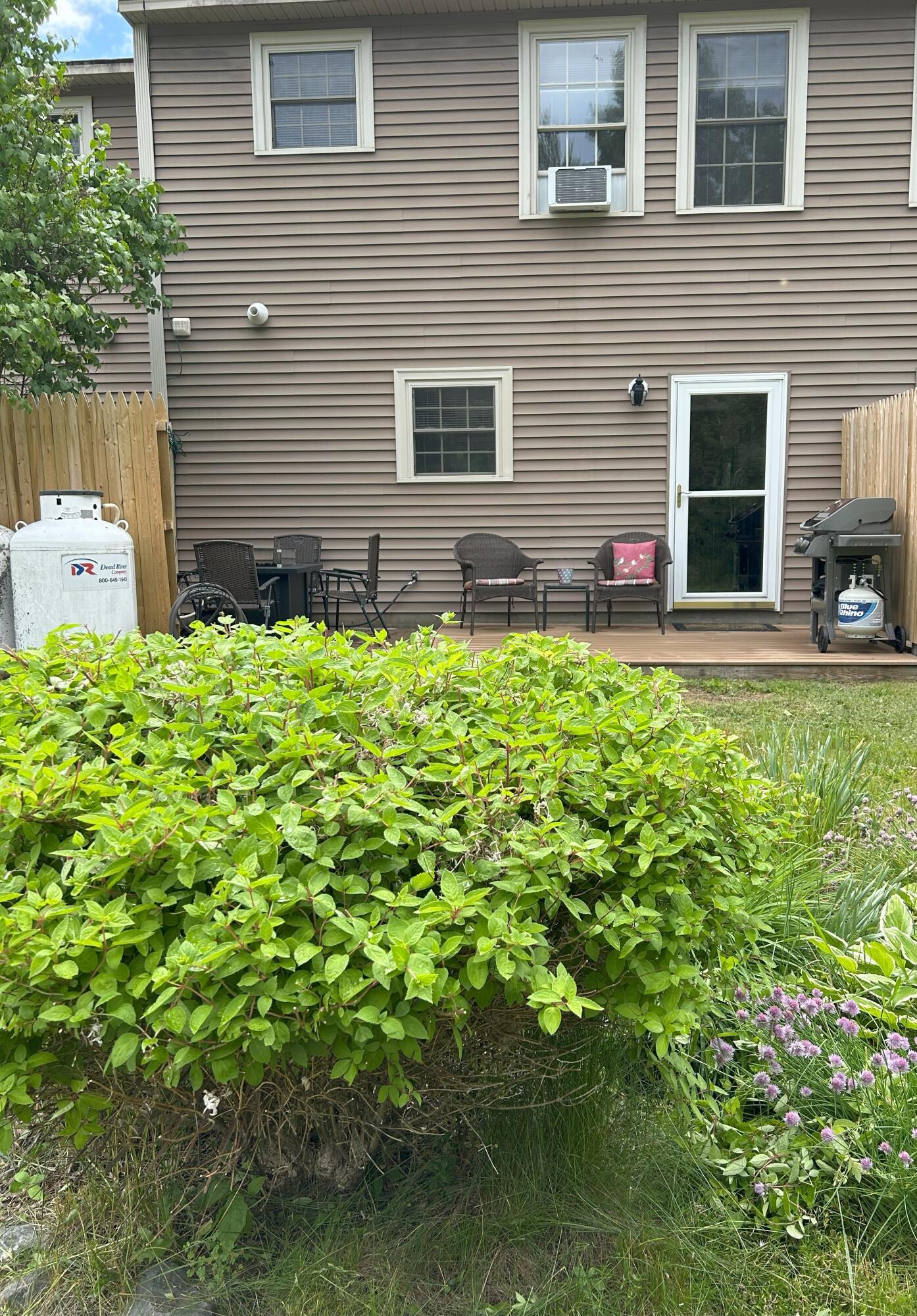 1016 State Street, Unit 7 Bangor, ME 04401 - Photo 16 of 19 16