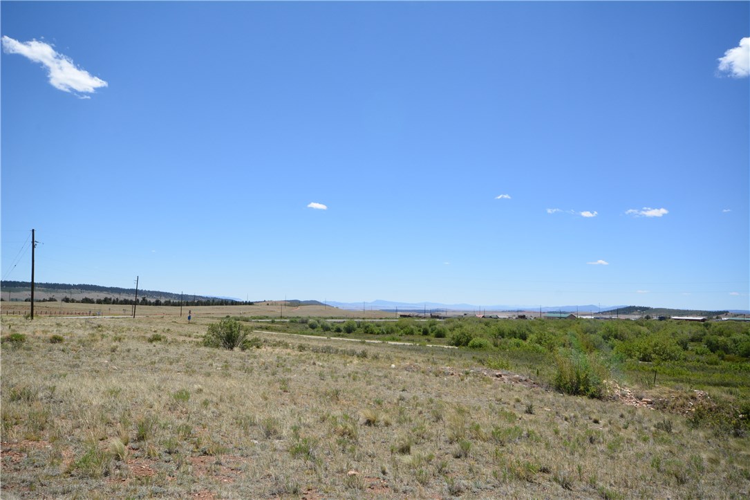 167 Silver Heels Road Fairplay, CO 80440 - Photo 15 of 21 Gallery Image 15