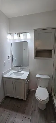 a bathroom with a toilet a sink and mirror