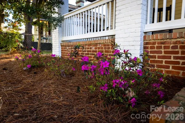 $3,250 | 435 Walnut Avenue, Charlotte, NC 28208