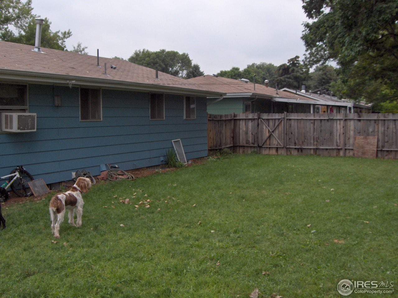 411 Riddle Drive Fort Collins, CO 80521 - Photo 12 of 15 Gallery Image 12