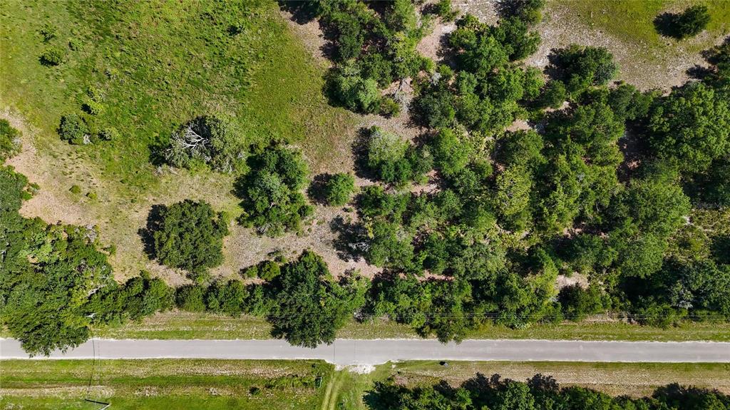 Red Hawk Lane Plant City, FL 33565 - Photo 38 of 44 Gallery Image 38
