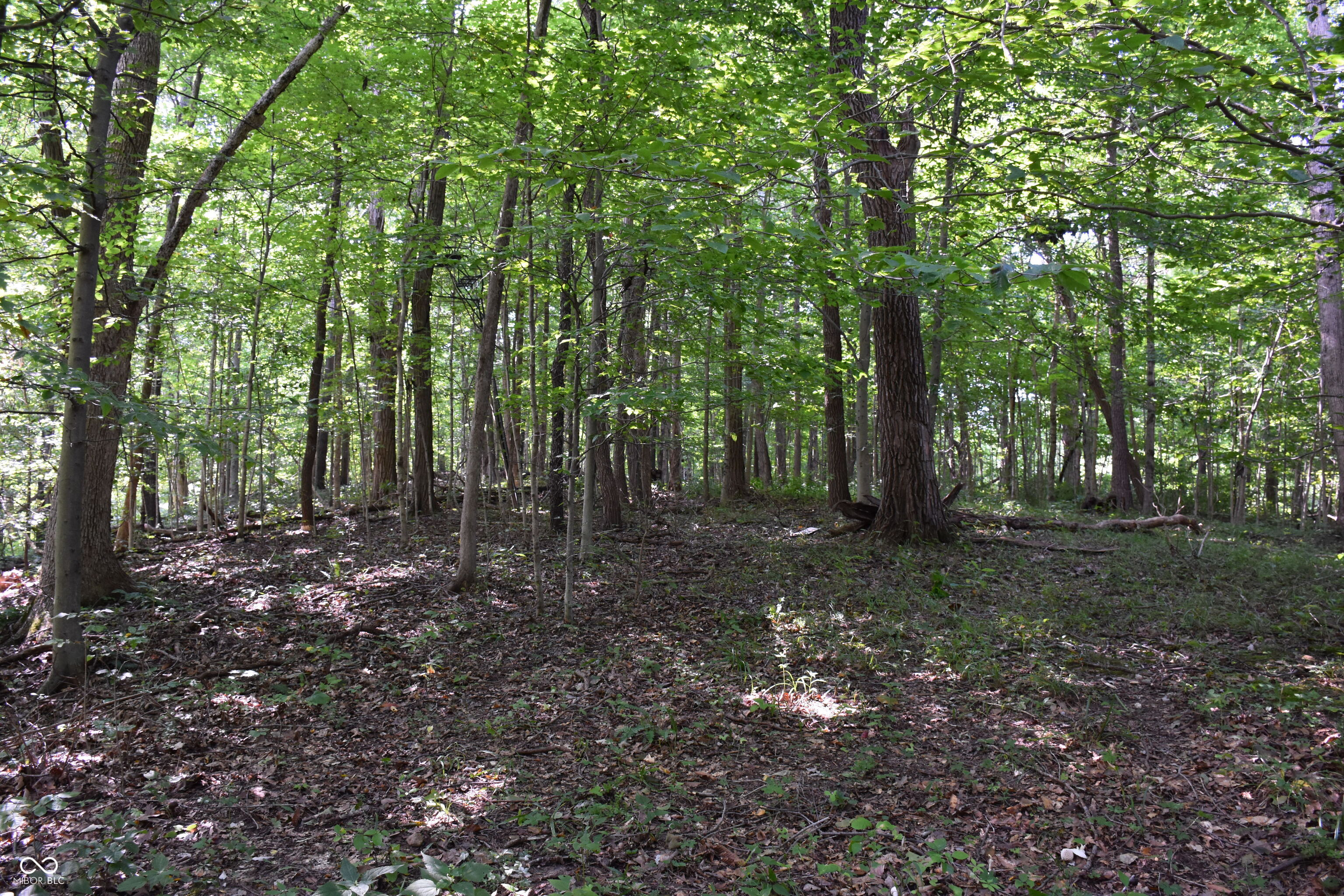 0 Sichting Road Martinsville, IN 46151 - Photo 32 of 43 Gallery Image 32