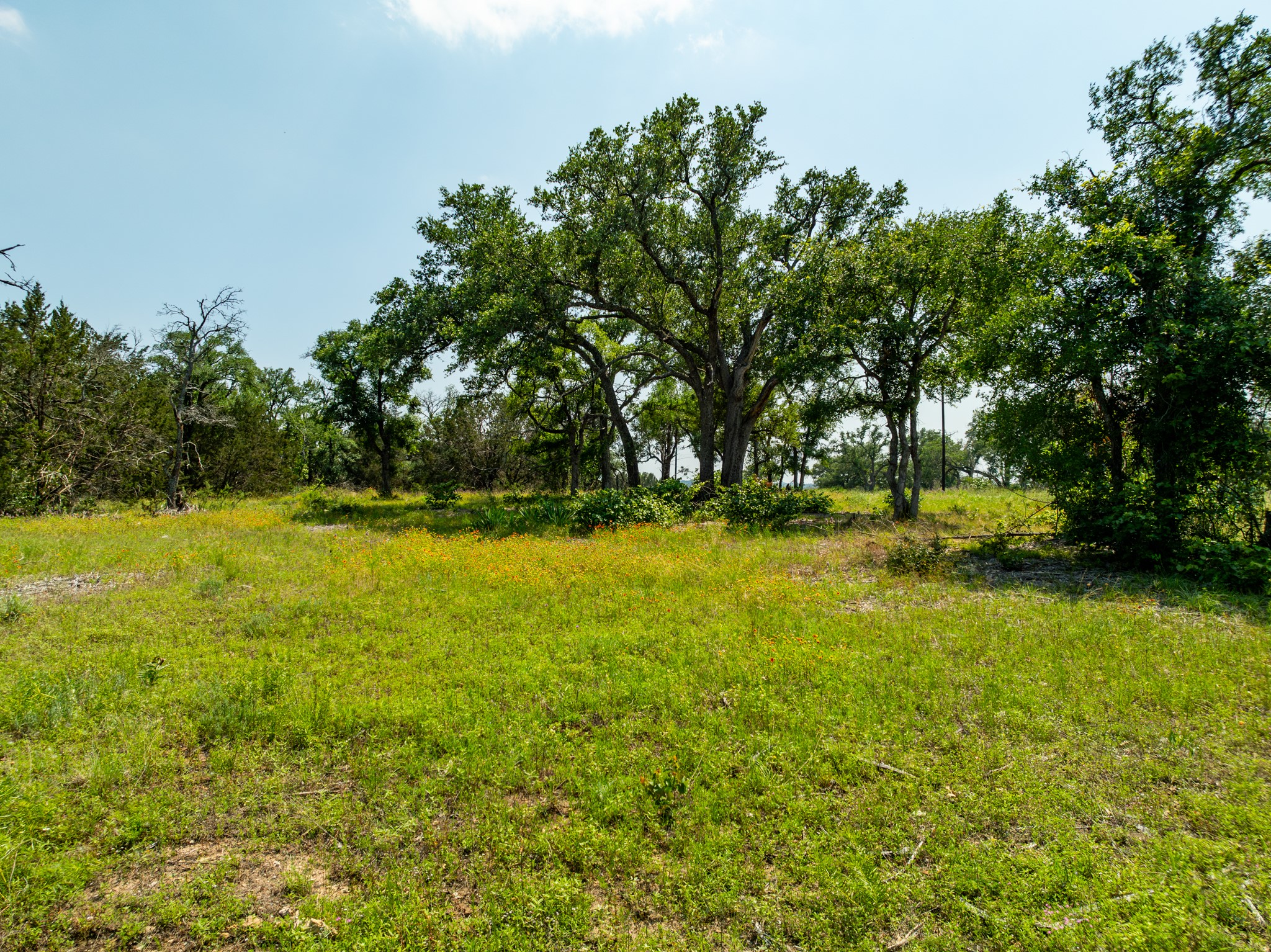 Tbd Tbd Pitchfork Ranch Road Copperas Cove, TX 76522 - Photo 6 of 35 a view of outdoor space with swimming pool and green space