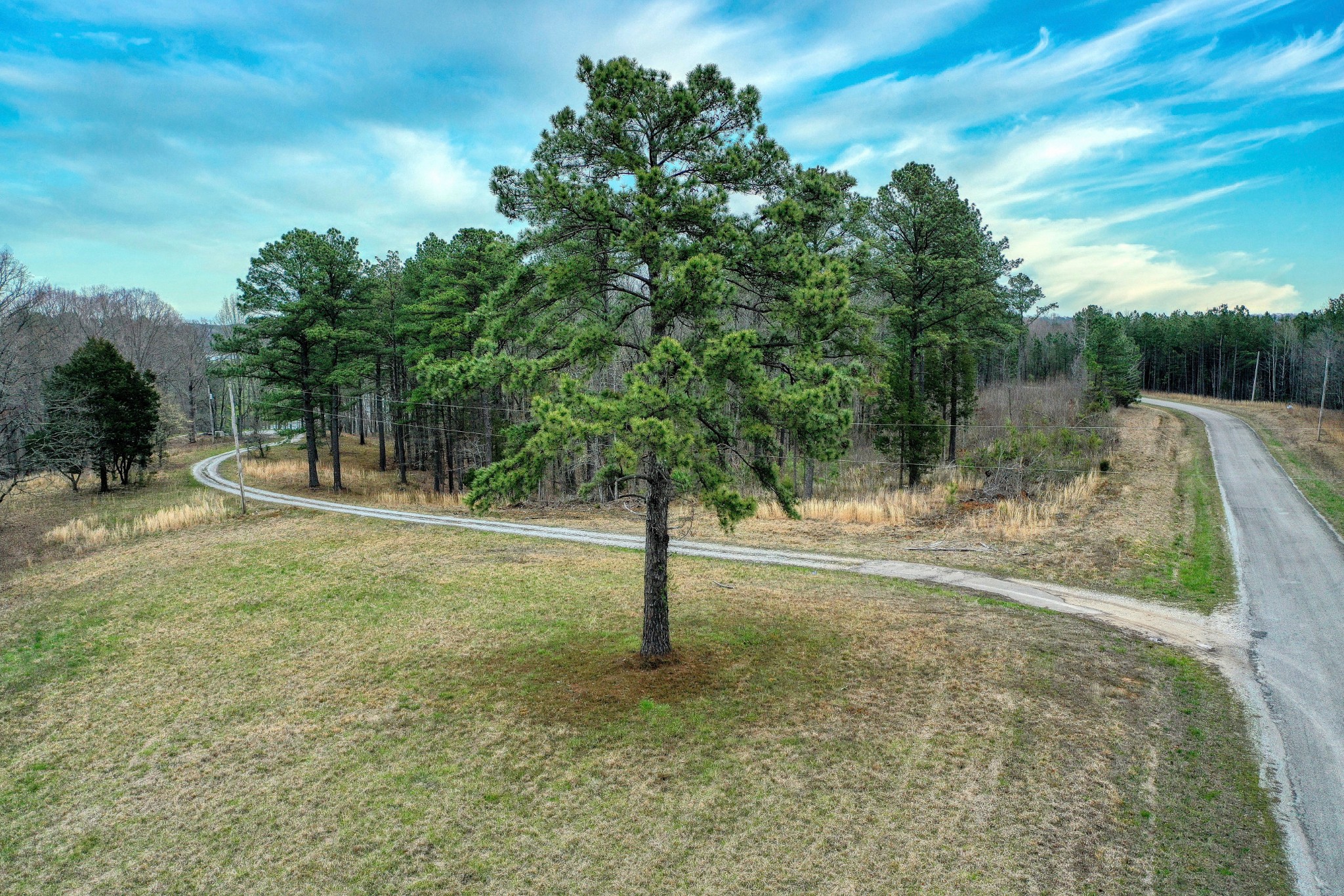 1570 Reedy Creek Road Huntingdon, TN 38344 - Photo 5 of 9 a view of a yard with a tree