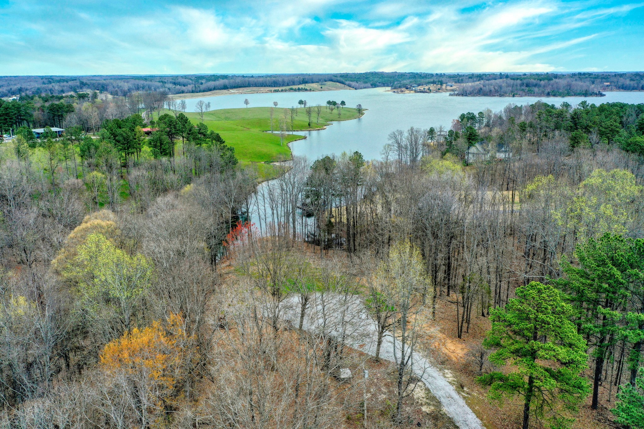 1570 Reedy Creek Road Huntingdon, TN 38344 - Photo 6 of 9 a view of a lake from a yard