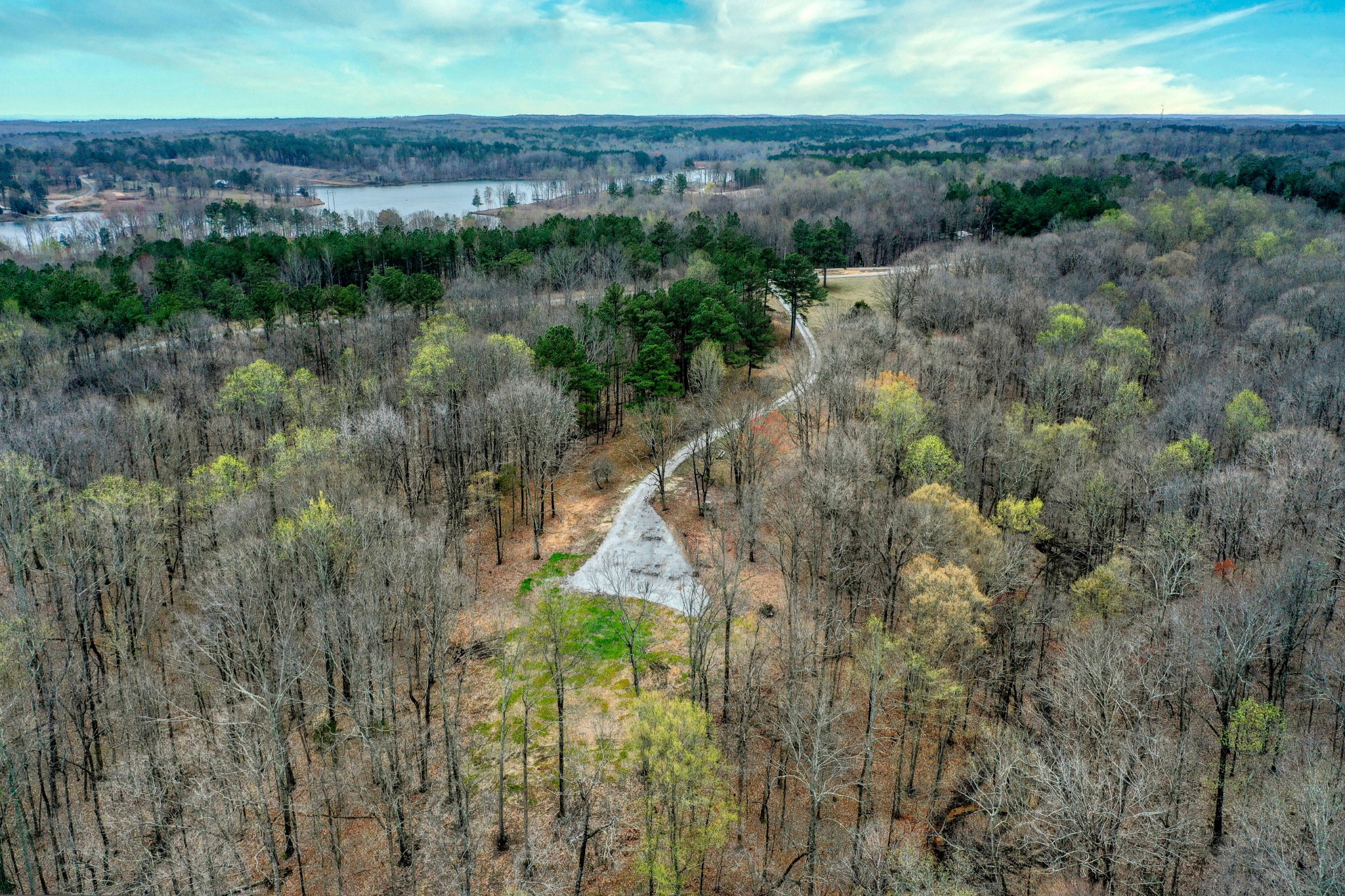 1570 Reedy Creek Road Huntingdon, TN 38344 - Photo 9 of 9 a view of a city