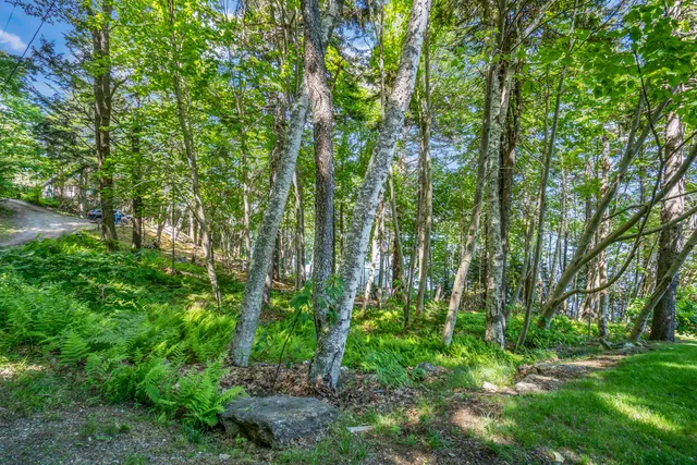 $300,000 | Lot 009 Reny Road, Round Pond, ME 04564