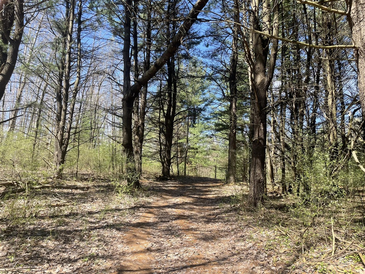 Hannah Road, Unit 4 Mount Pleasant, MI 48858 - Photo 10 of 15
