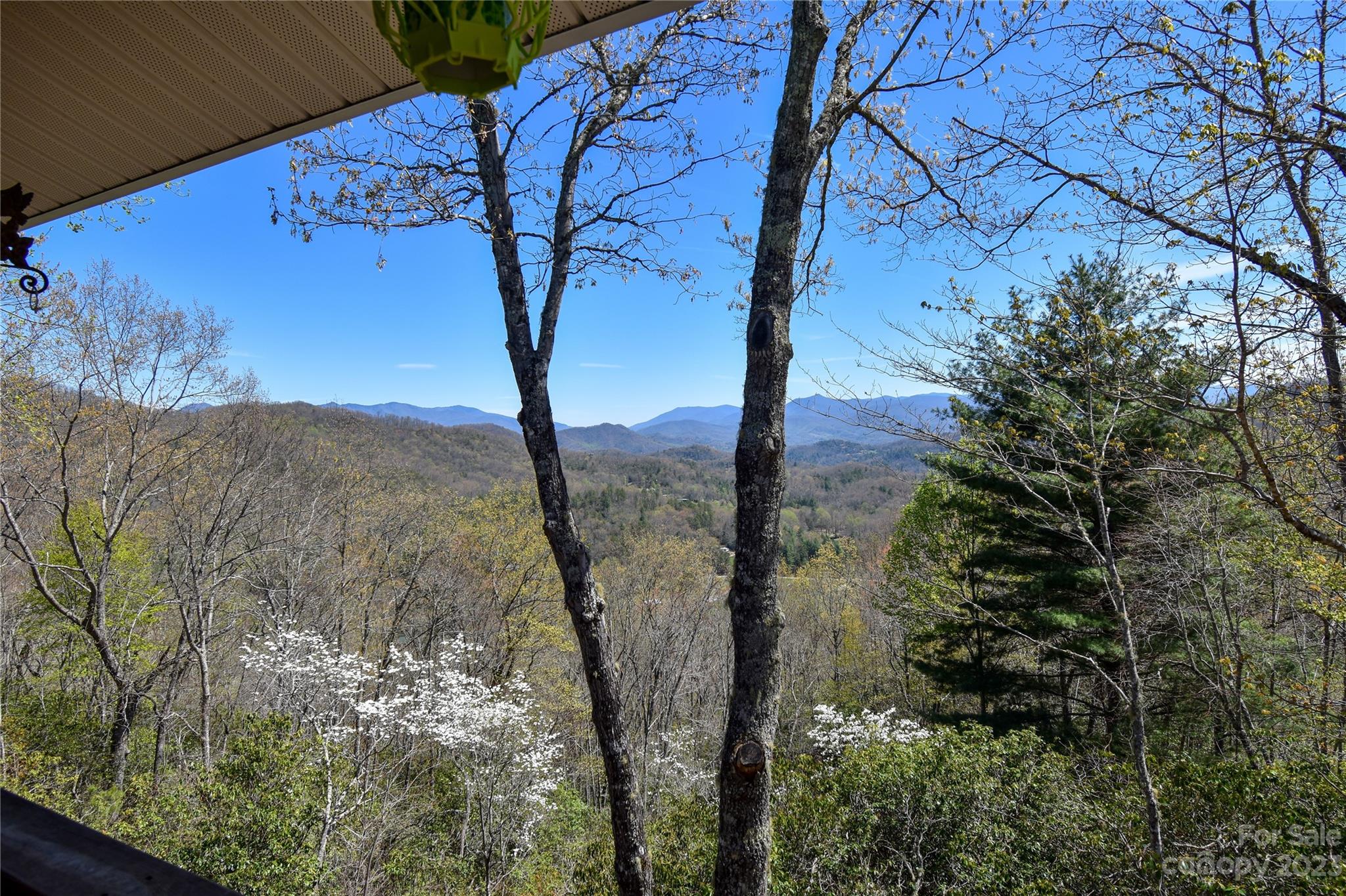 804 Old Cove Road Sylva, NC 28779 - Photo 11 of 35 Gallery Image 11