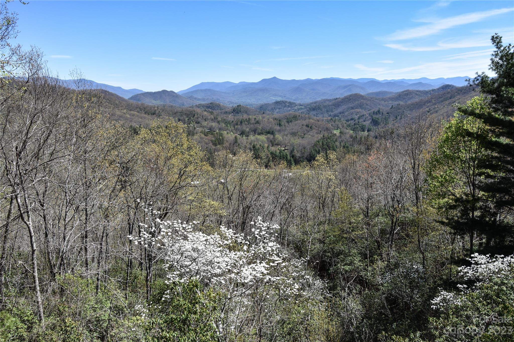 804 Old Cove Road Sylva, NC 28779 - Photo 34 of 35 Gallery Image 34