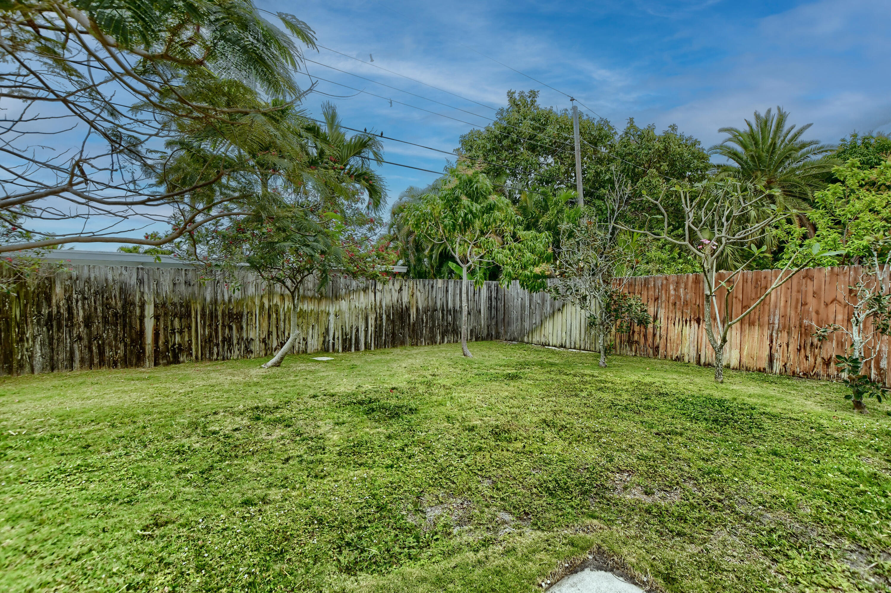 411 Northeast 23rd Way Boca Raton, FL 33431 - Photo 24 of 26 back yard