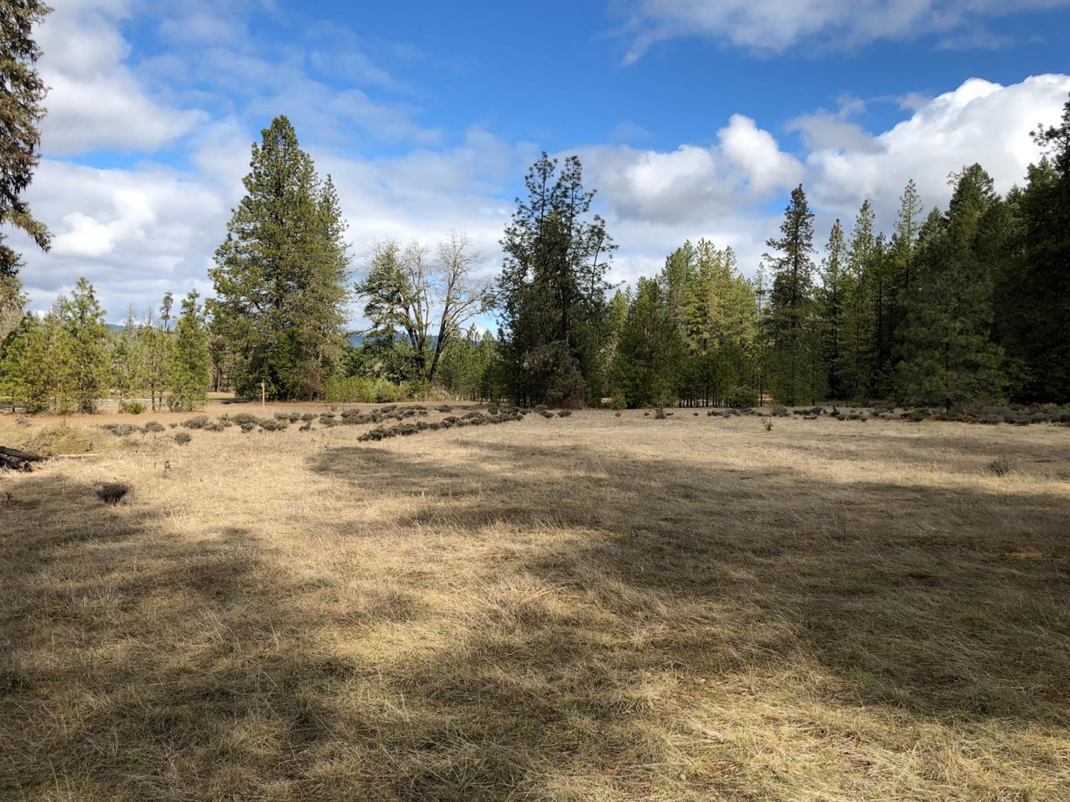 0 Dick George Road, Unit TL300 Cave Junction, OR 97523 - Photo 10 of 18 Additional Photo