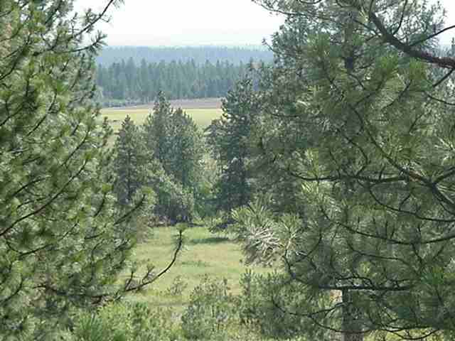 -- West Crosscut Road, Unit 1 Deer Park, WA 99006 - Photo 1 of 1