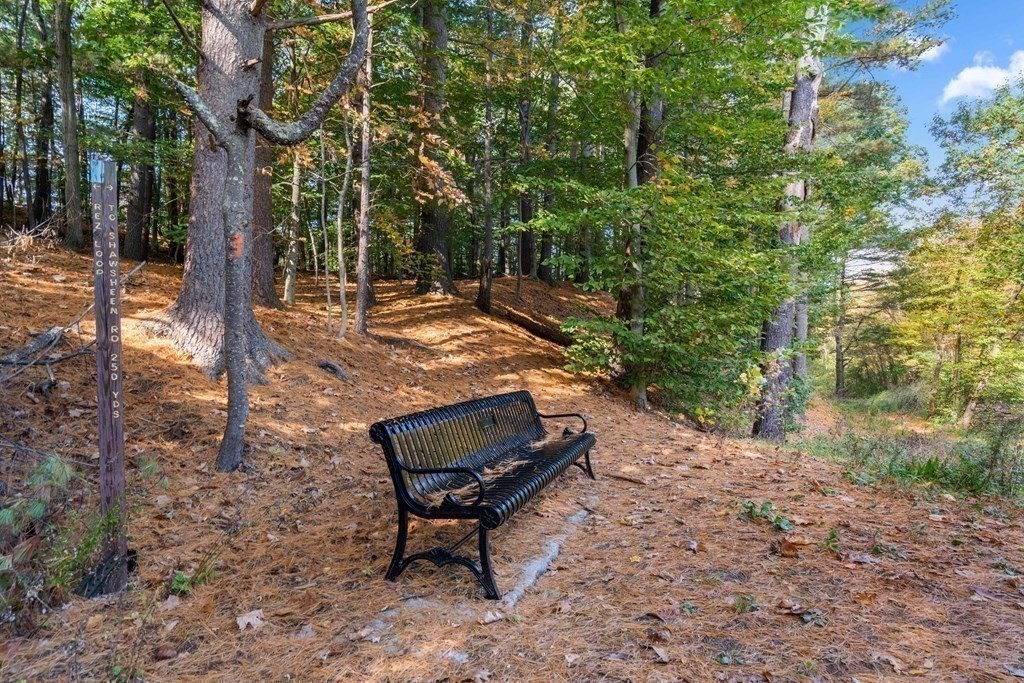 99 Shawsheen Road Bedford, MA 01730 - Photo 30 of 38