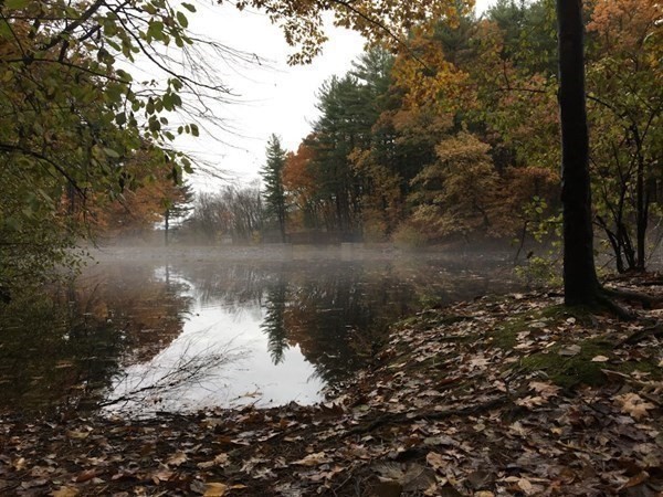 99 Shawsheen Road Bedford, MA 01730 - Photo 34 of 38