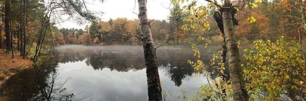 99 Shawsheen Road Bedford, MA 01730 - Photo 35 of 38