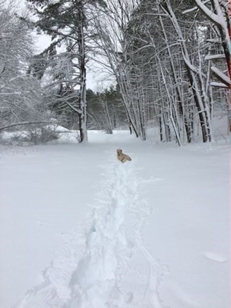 99 Shawsheen Road Bedford, MA 01730 - Photo 38 of 38