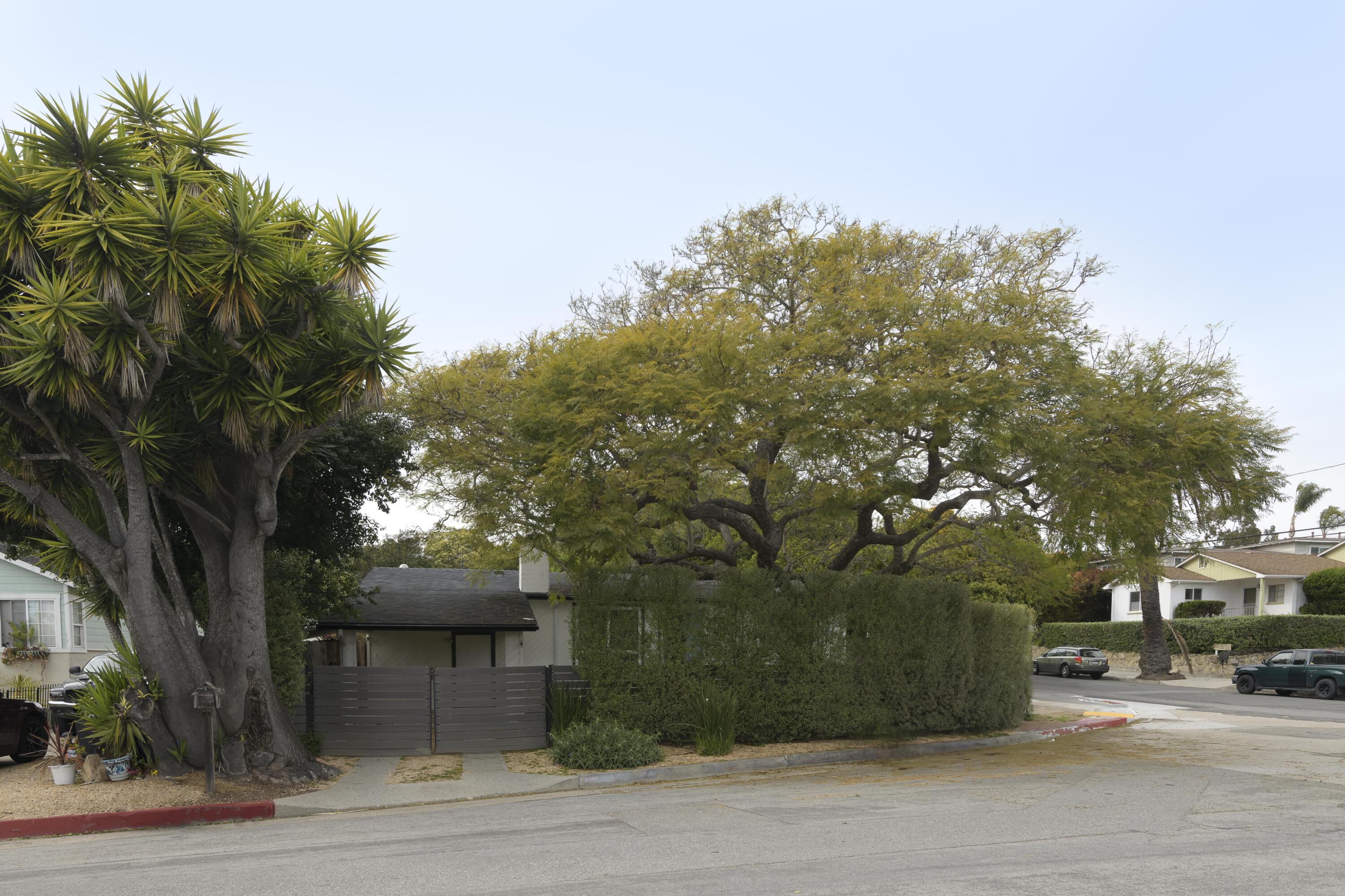 1102 Del Mar Avenue Santa Barbara, CA 93109 - Photo 30 of 39 a view of a yard and tree s