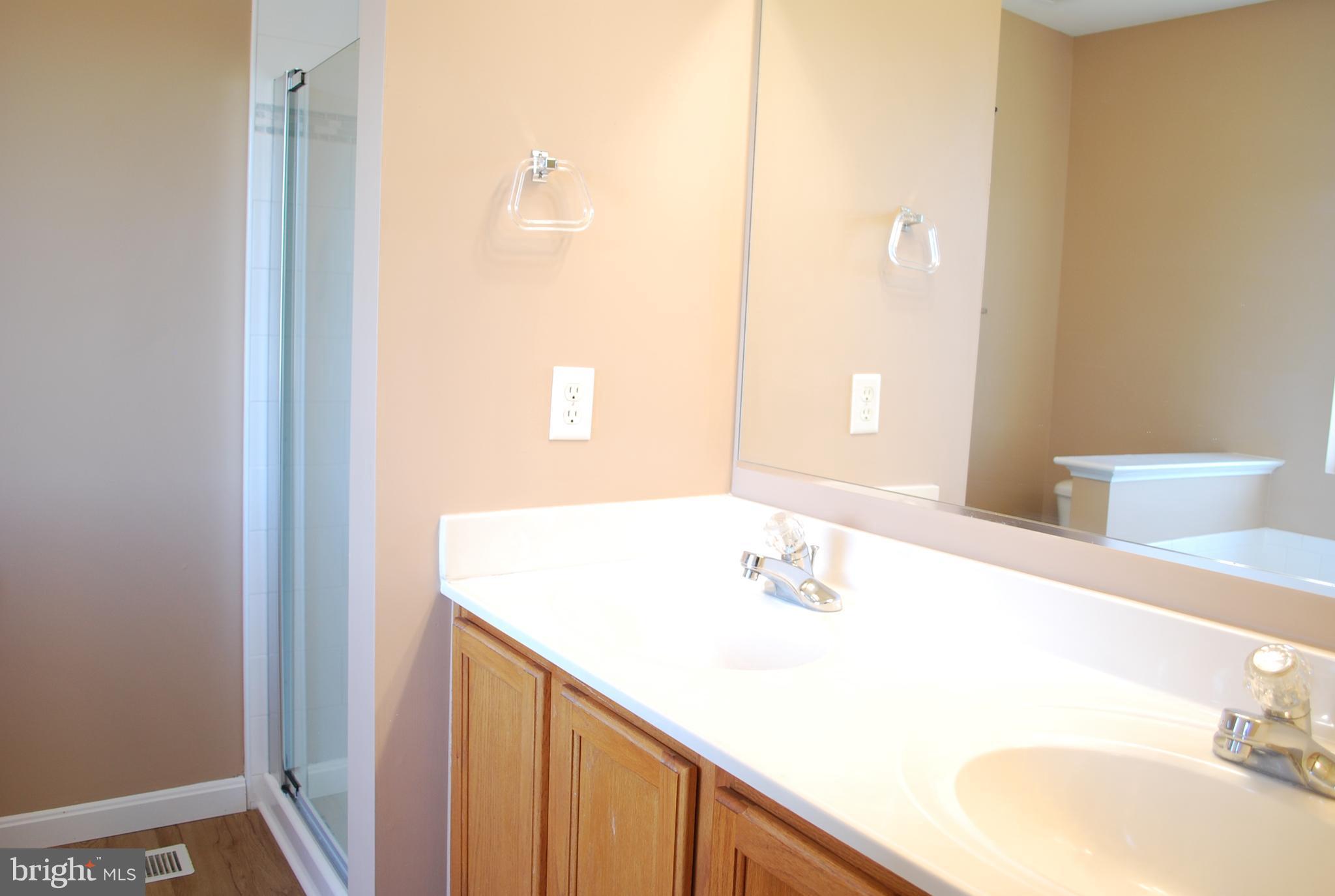 1413 Searchlight Way Mount Airy, MD 21771 - Photo 15 of 19 Bath (Master)
